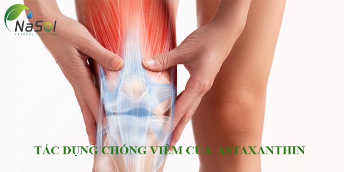 tác dụng chống viêm của astaxanthin