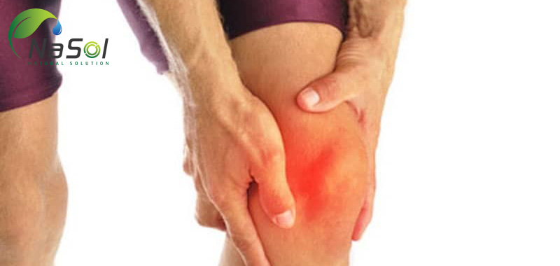 tác dụng chống viêm của dầu cây lưu ly