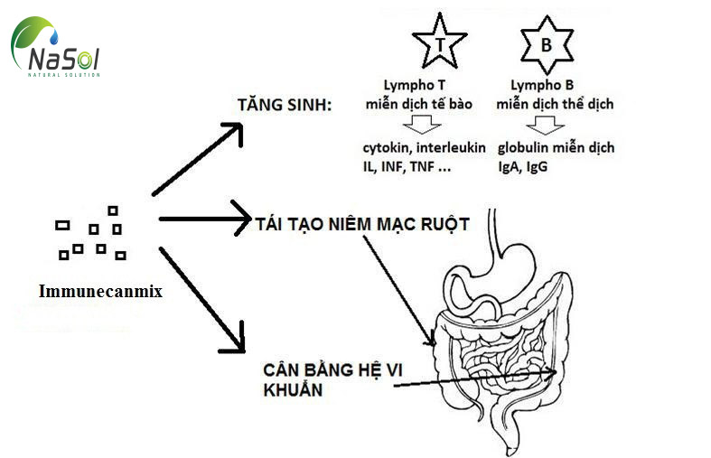 tác dụng của Immunecanmix