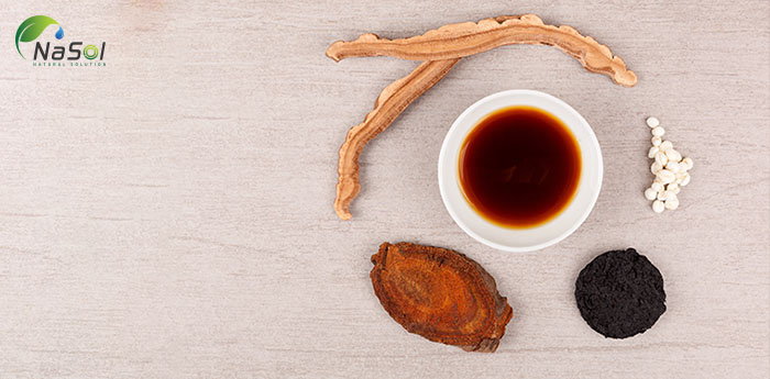 tác dụng của Rehmannia