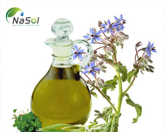 Tác dụng của dầu cây Lưu ly và cách sử dụng