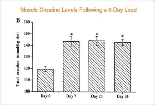 creatine giúp tăng lượng phosphocreatine