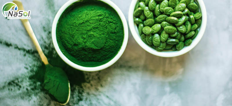 Tảo xoắn có nhiều protein và vitamin.