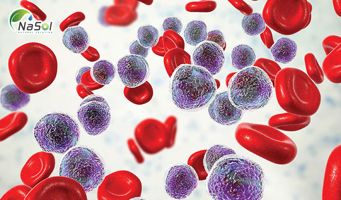 Bạch cầu lympho cấp tính