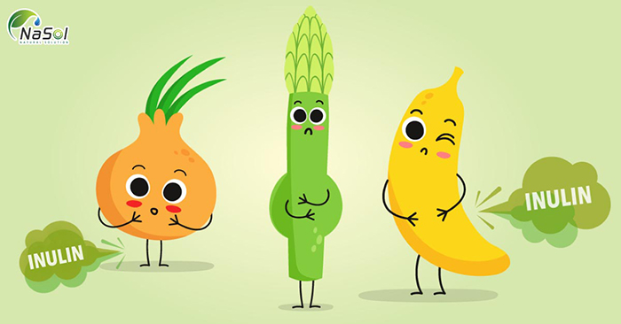 Inulin là gì