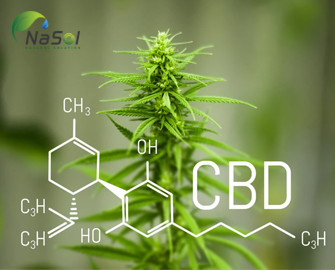 Levagen®+ Liệu pháp thay thế CBD trên vận động viên thể thao 