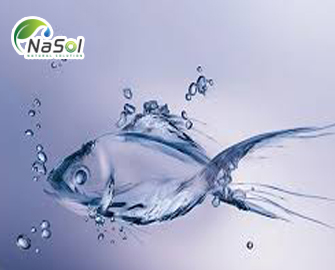 Những lưu ý khi sử dụng Collagen Tripeptid