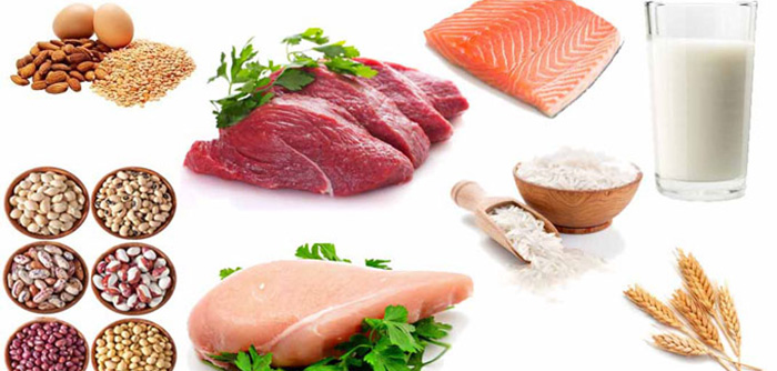 Nhóm Protein tăng cường sức đề kháng