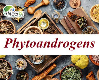 Phytoandrogens: Lợi ích, cơ chế hoạt động và nguồn gốc Phytoandrogens: Lợi ích, cơ chế hoạt động và nguồn gốc