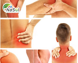 Tác dụng của UP446 trên bệnh viêm xương khớp - nguyên liệu cho bệnh xương khớp Tác dụng của UP446 trên bệnh viêm xương khớp - nguyên liệu cho bệnh xương khớp