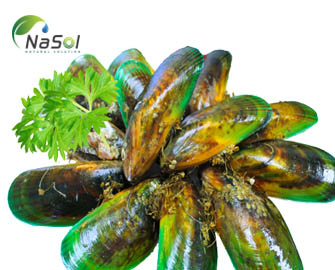 8 tác dụng của vẹm xanh tới sức khỏe con người  8 tác dụng của vẹm xanh tới sức khỏe con người