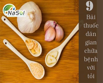 9 bài thuốc dân gian chữa bệnh với tỏi 9 bài thuốc dân gian chữa bệnh với tỏi