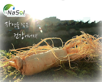 Bảy tác dụng hữu ích của hồng sâm với sức khỏe Bảy tác dụng hữu ích của hồng sâm với sức khỏe