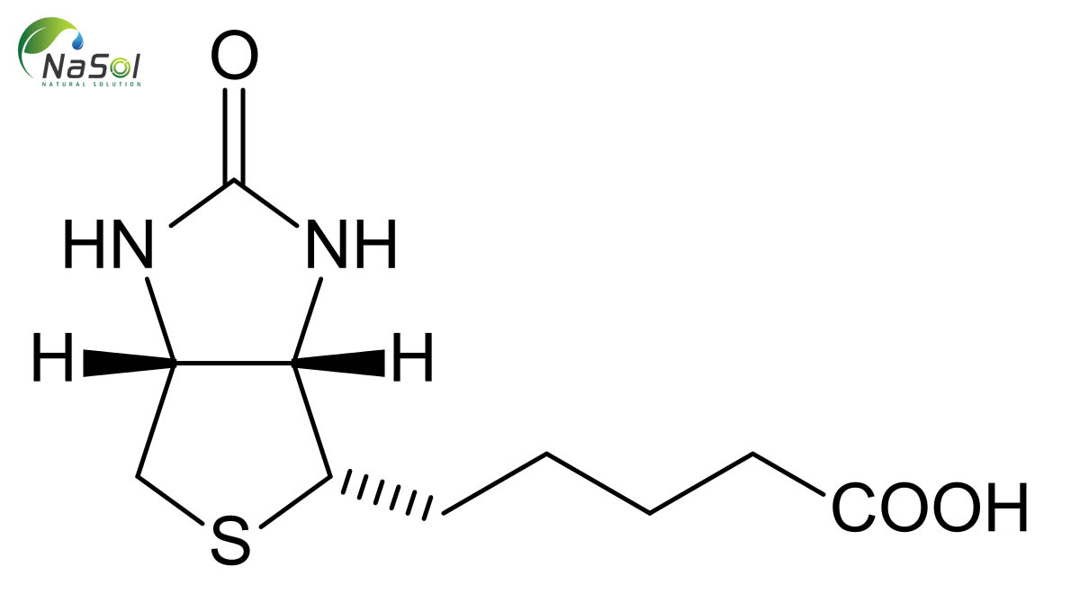 nguyên liệu biotin