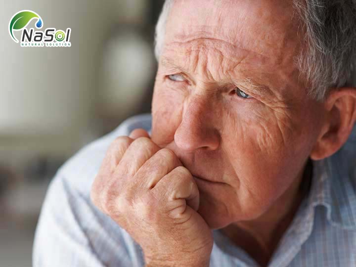 Công dụng của cao bạch quả (Ginkogo Biloba Extract) với sức khỏe con người