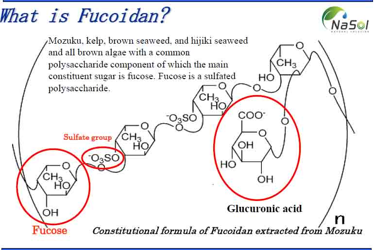 Cấu tạo hóa học của Fucoidan