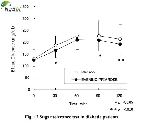 Chiết xuất hoa anh thảo (Evening primrose extract) là một nguyên liệu tiềm năng trong hỗ trợ điều  trị đái tháo đường