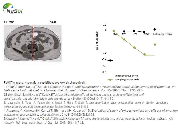 tác dụng của chiết xuất táo dại