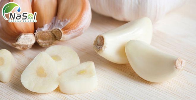 chữa bênh với tỏi