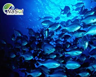 So sánh Collagen Peptide từ cá tuyết và các loại Collagen thông thường So sánh Collagen Peptide từ cá tuyết và các loại Collagen thông thường