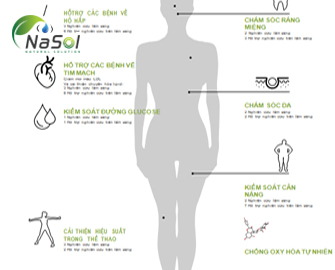 Công dụng của chiết xuất táo dại với sức khỏe con người Công dụng của chiết xuất táo dại với sức khỏe con người