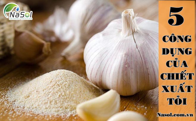 năm công dụng của tỏi
