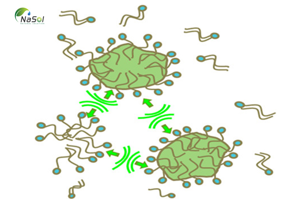 Công nghệ phân tán Lipisperse