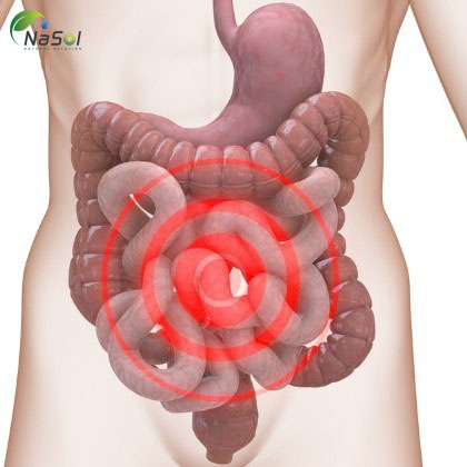 urcumin có thể giúp làm giảm đau liên quan đến IBS và cải thiện chất lượng cuộc sống của những người bị tình trạng này