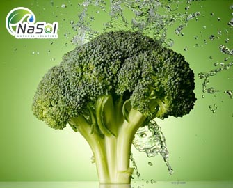 Đặc tính  chống oxy hóa của chiết xuất bông cải xanh (broccoli sprout extract) Đặc tính  chống oxy hóa của chiết xuất bông cải xanh (broccoli sprout extract)