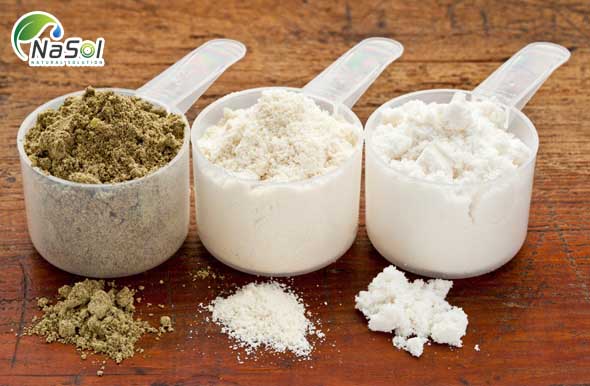 Đạm whey (whey protein)