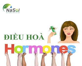 Điều hòa Hormone Điều hòa Hormone