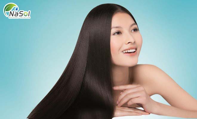 Tác dụng của Hồng sâm trên tóc