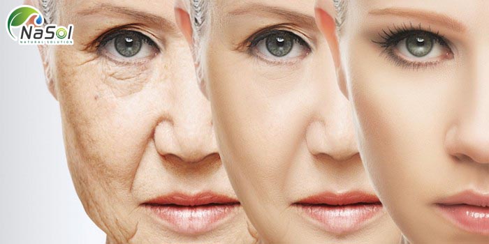 Glutathione  Làm chậm quá trình lão hóa