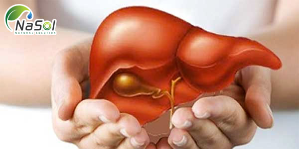 Glutathione là chất chống oxy hóa, hỗ trợ chức năng gan, thận, đường tiêu hóa và đường ruột