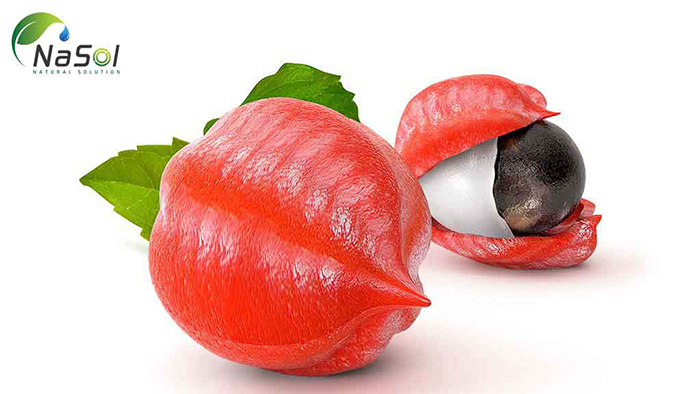 Bổ sung năng lượng kéo dài