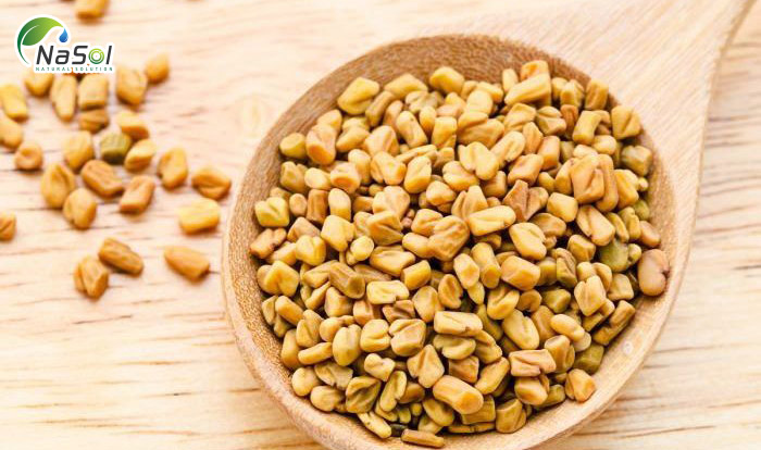 Hạt methin giảm đường huyết sau ăn