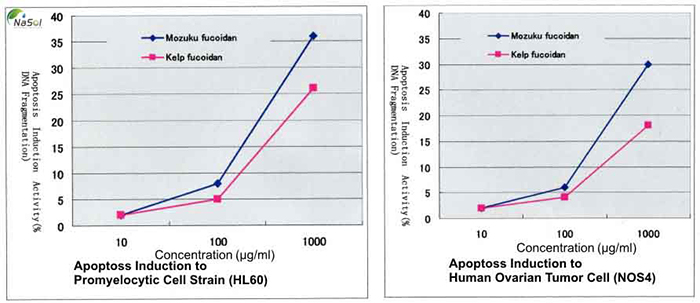 Hoạt tính gây chết tế bào của Fucoidan