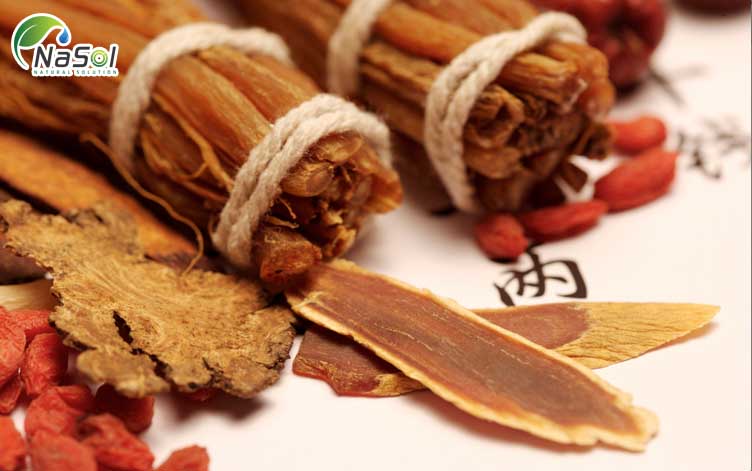 Hướng dẫn sử dụng Hồng sâm