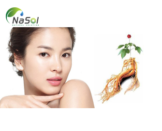 Hồng sâm và những tác dụng quý cho phái đẹp Hồng sâm và những tác dụng quý cho phái đẹp