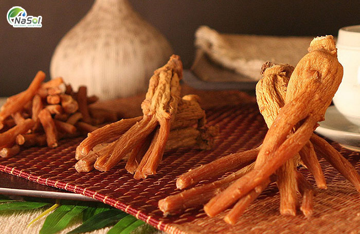 Tăng cường chức năng sinh lý của hồng sâm