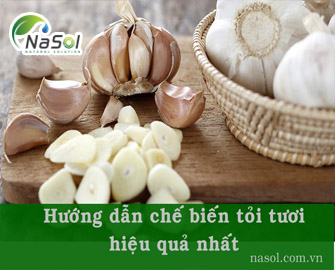 Hướng dẫn chế biến tỏi tươi cho hiệu quả cao nhất Hướng dẫn chế biến tỏi tươi cho hiệu quả cao nhất