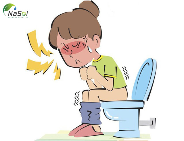 Inulin hạn chế chứng táo bón ở người lớn và trẻ nhỏ