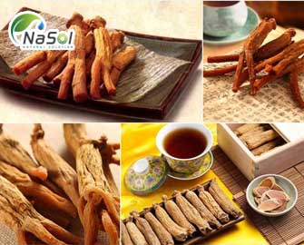 Liều dùng và những lưu ý khi sử dụng Hồng sâm Liều dùng và những lưu ý khi sử dụng Hồng sâm