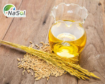 15 lợi ích cho sức khỏe của Gamma Oryzanol  15 lợi ích cho sức khỏe của Gamma Oryzanol