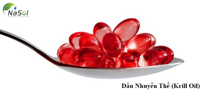 Lưu ý khi sử dụng Dầu nhuyễn thể