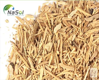 Murira Puama – Thảo dược tăng cường chức năng sinh lý Murira Puama – Thảo dược tăng cường chức năng sinh lý