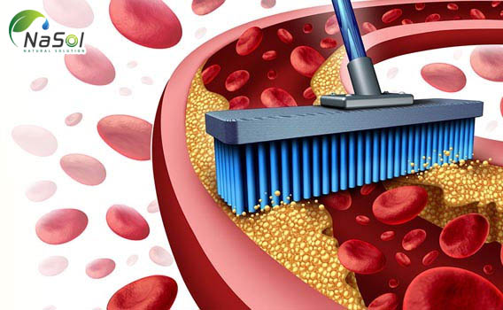 Nattokinase với tác dụng tiêu cục máu đông