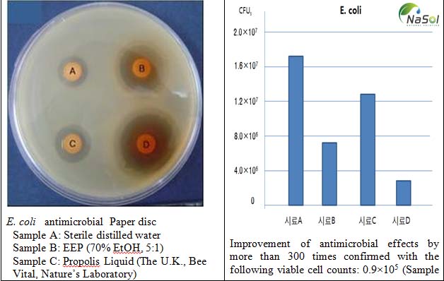 tác dụng của keo ong