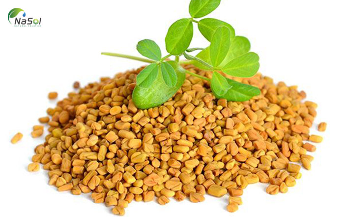 Testofen tăng cường chức năng sinh lý