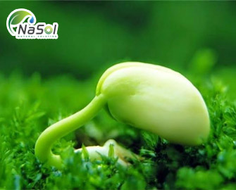 Những lưu ý để tăng tác dụng khi bổ sung Soy isoflavone  Những lưu ý để tăng tác dụng khi bổ sung Soy isoflavone